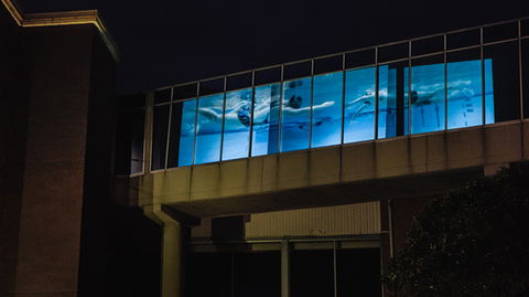 Kingston Arts - Attractions Sydney 8