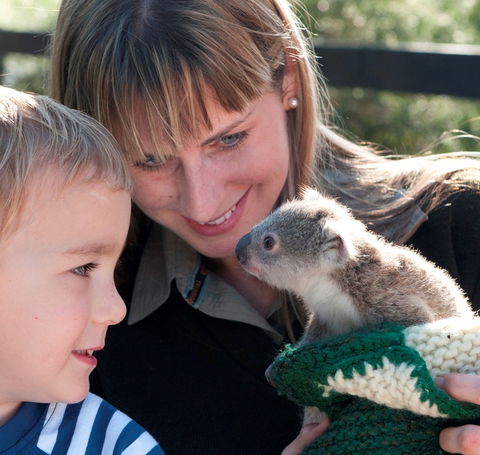 Australian Reptile Park - Attractions Sydney 1