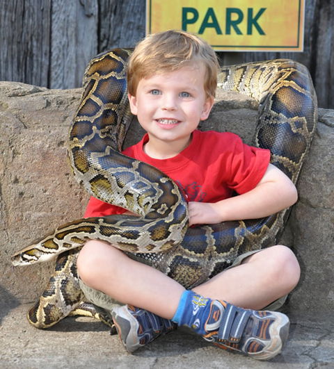 Australian Reptile Park - Attractions Sydney 3