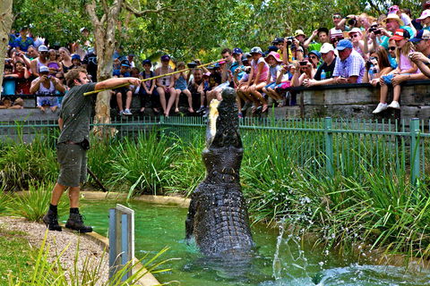 Australian Reptile Park - Attractions Sydney 4