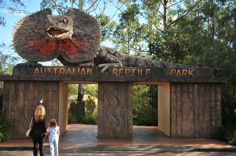 Australian Reptile Park - Attractions Sydney 5