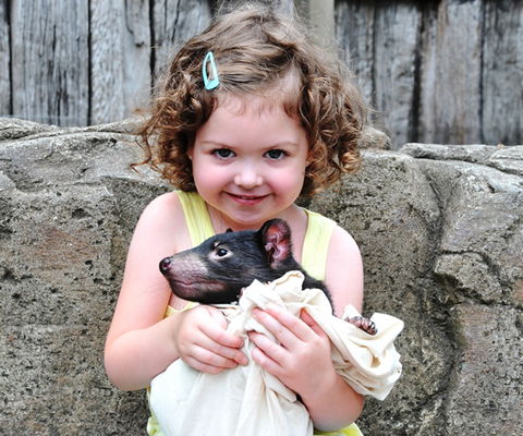 Australian Reptile Park - Attractions Sydney 8