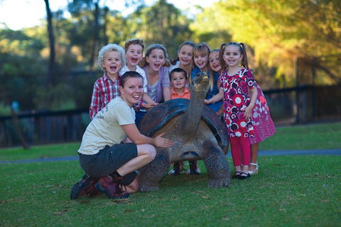 Australian Reptile Park - Attractions Sydney 11
