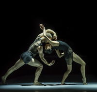 Sydney Dance Company - Attractions Sydney