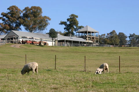 Calmsley Hill City Farm - Attractions Sydney 3