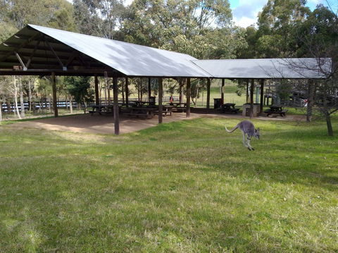 Calmsley Hill City Farm - Attractions Sydney 5