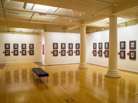 Cairns Regional Gallery - Attractions Sydney 2