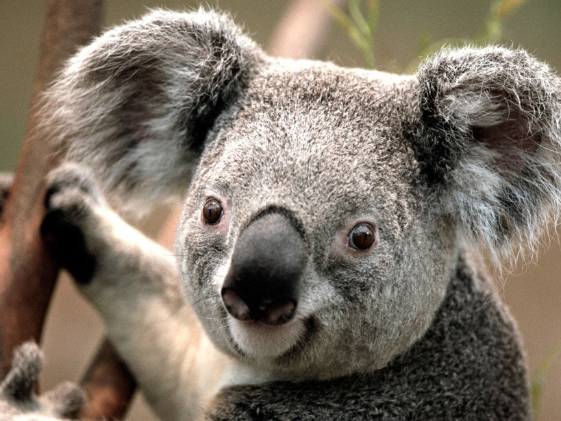 Berrambool NSW Attractions Sydney