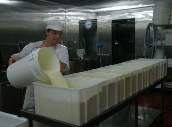 Witches Chase Cheese Co - Attractions Sydney 1