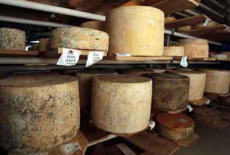 Witches Chase Cheese Co - Attractions Sydney 3