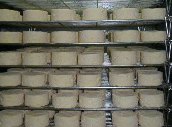 Witches Chase Cheese Co - Attractions Sydney 5
