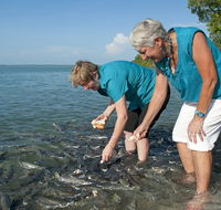 Aquascene Fish Feeding Sanctuary - Attractions Sydney