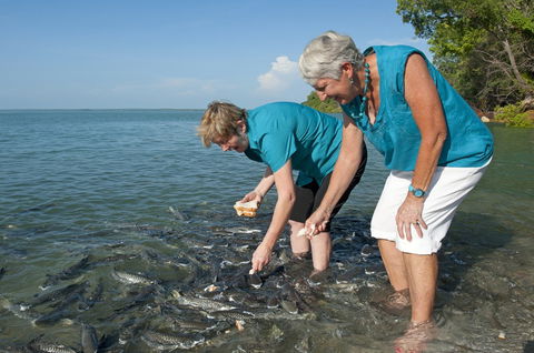 Aquascene Fish Feeding Sanctuary - Attractions Sydney 0