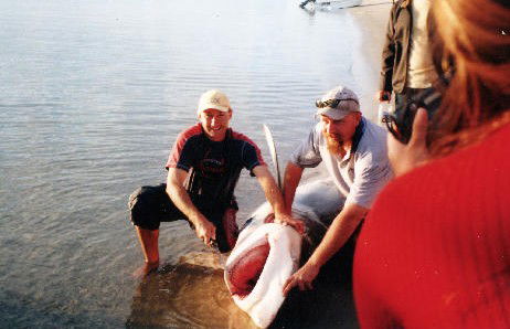 True Blue Fishing Charters - Attractions Sydney 1