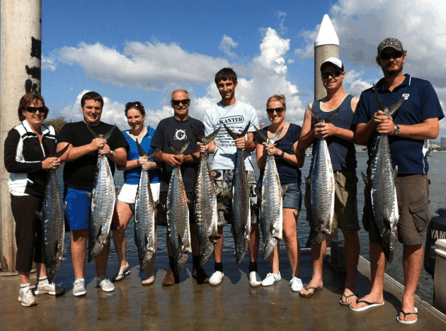 Gold Coast Mc QLD Attractions Sydney