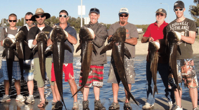BKs Gold Coast Fishing Charters - Attractions Sydney 1