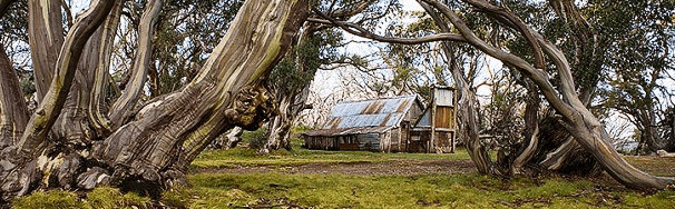 High Country Scenic Tours - Attractions Sydney