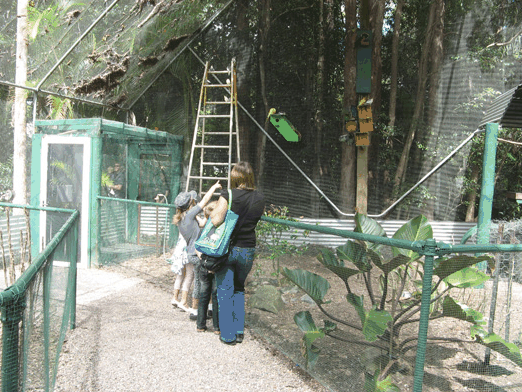 Bellingham Maze - Attractions Sydney 7