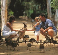 Billabong Sanctuary - Attractions Sydney