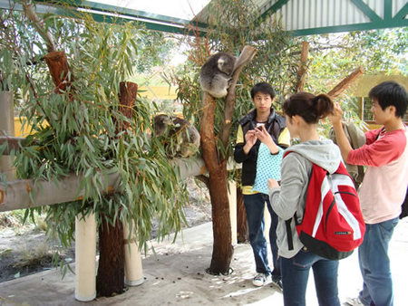 Caversham Wildlife Park - Attractions Sydney 4