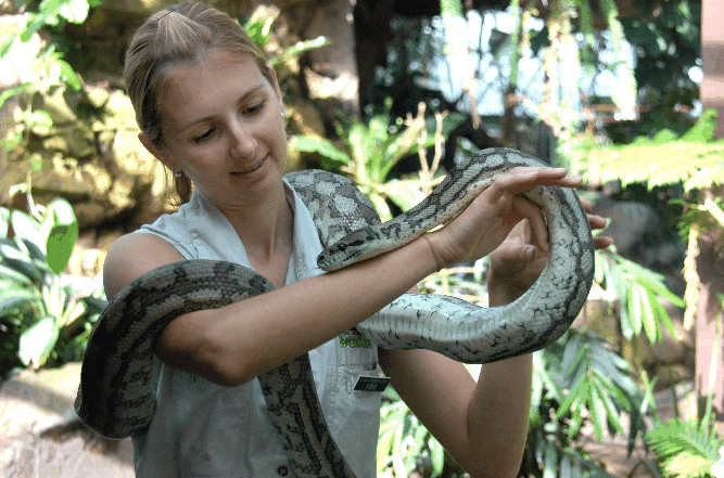 Cairns Wildlife Dome - Attractions Sydney 2