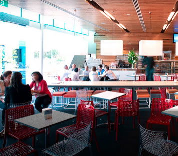 The Icehouse - Attractions Sydney 3