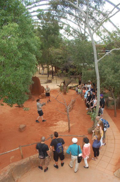 WILD LIFE Sydney Zoo - Attractions Sydney 2