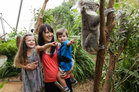 WILD LIFE Sydney Zoo - Attractions Sydney 3