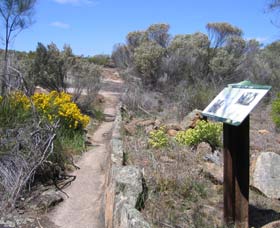 Christmas Rock Walk - Attractions Sydney 0