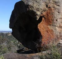 Eagle's View Walk John Forrest National Park - Attractions Sydney