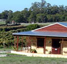 Vineyard 28 - Attractions Sydney