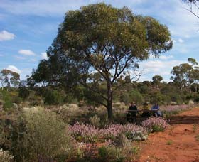 Karlkurla Bushland Park - Attractions Sydney 0