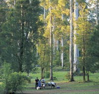Big Brook Arboretum - Attractions Sydney