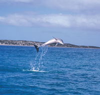 Steep Point - Attractions Sydney