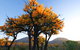 Cape Le Grand National Park - thumb 0