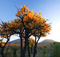 Cape Le Grand National Park - Attractions Sydney