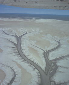 Tidal Flats - Attractions Sydney 0