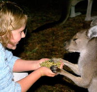 Discovery Bay's Walk on the Wild Side - Attractions Sydney