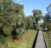 Kepwari Trails Wetland Wonderland - Attractions Sydney