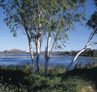 Celebrity Tree Park - Attractions Sydney