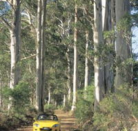Scotsdale Tourist Drive - Attractions Sydney