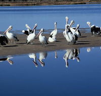 Peel Region Canoe Trails - Attractions Sydney