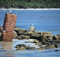 Whalers Beach - Attractions Sydney