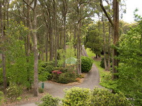 Mount Lofty Botanic Garden - Attractions Sydney 0