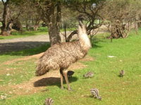 Book Fishermans Bay Accommodation Vacations Attractions Sydney Attractions Sydney
