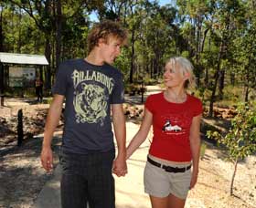 Crooked Brook Forest - Attractions Sydney 0