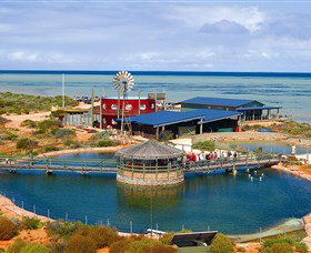 Shark Bay WA Attractions Sydney
