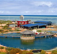 Ocean Park Aquarium - Attractions Sydney