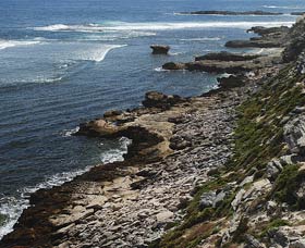 Cape Vlamingh - Attractions Sydney 0