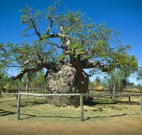 Pigeon Heritage Trail - Attractions Sydney
